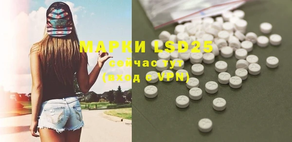 молекула духа Ельня