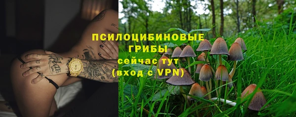 прущие крисы Дмитров