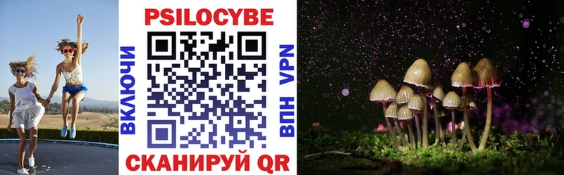 Псилоцибиновые грибы GOLDEN TEACHER Черняховск