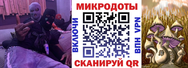Купить где  Черняховск  Галлюциногенные грибы Psilocybine cubensis 