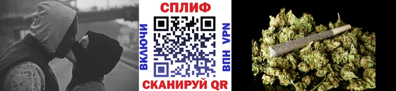 Конопля сатива  Купить где  Черняховск 